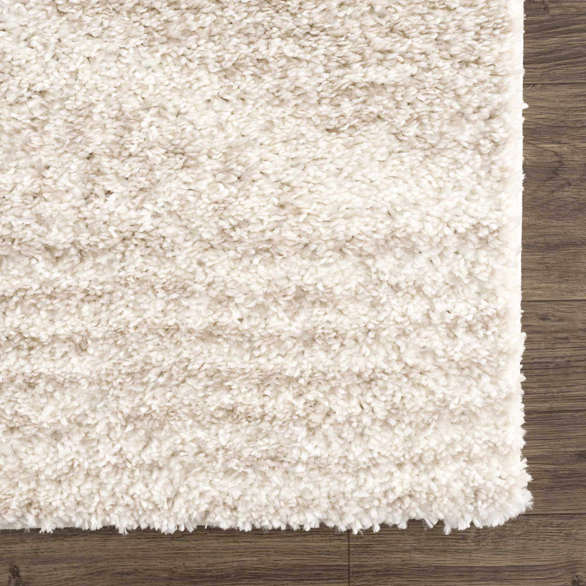 Trunding Plush Area Rug in Light Beige